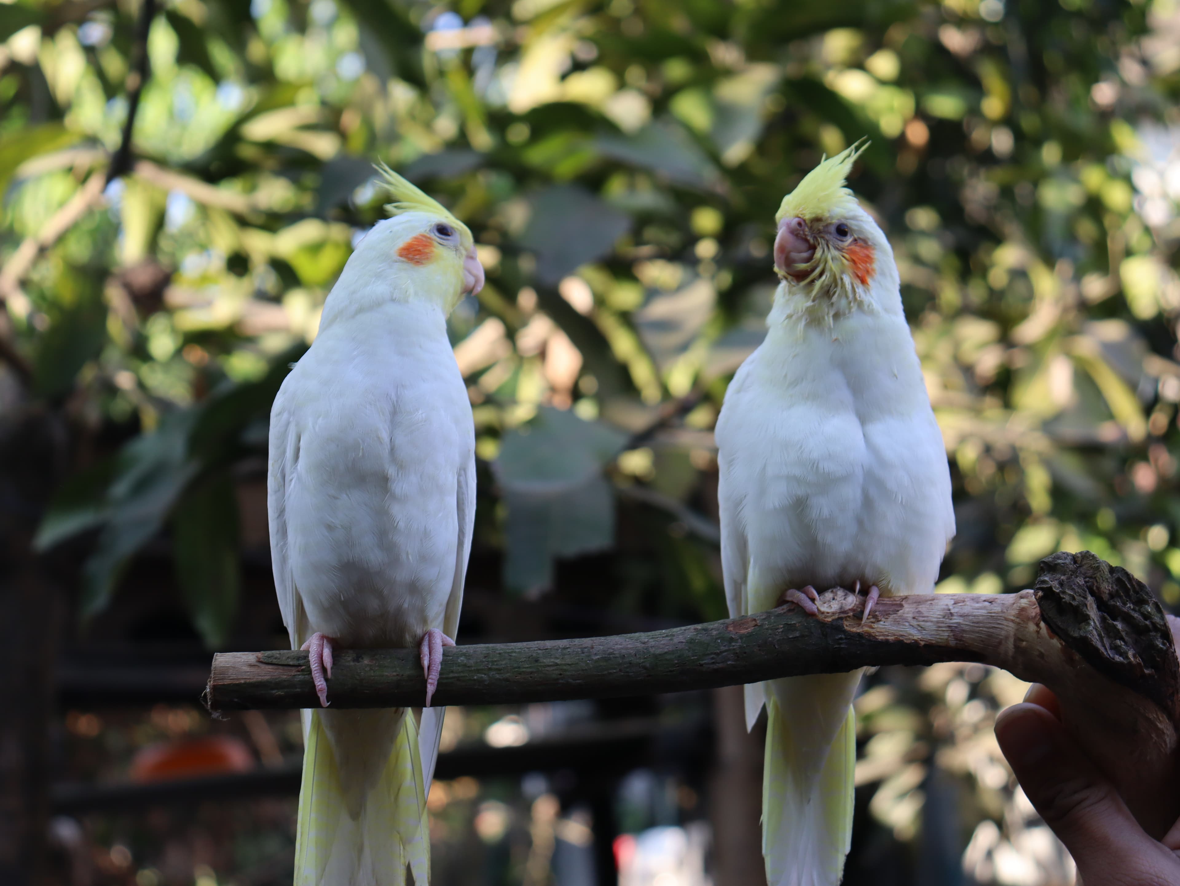 Landing hero Background